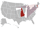 New Hampshire map